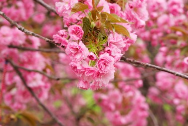 无锡滨湖区8线下个人借款平台一站式服务，轻松解决资金难题