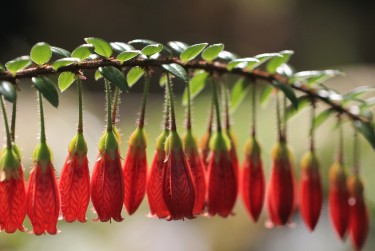 无锡滨湖区8零用贷短借：轻松解决临时资金需求
