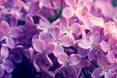 无锡滨湖区8企业急用钱贷款攻略：快速融资解燃眉之急